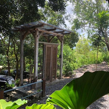 Omah Cantrik, Ethnic Java House With Nature View Jarakan エクステリア 写真
