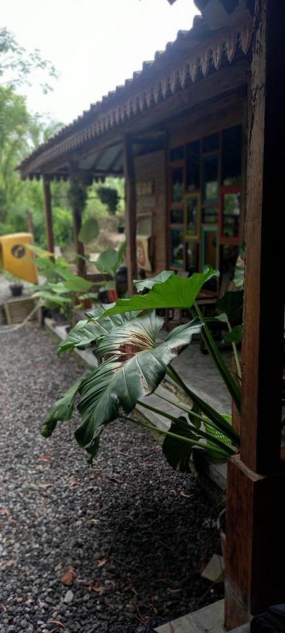 Omah Cantrik, Ethnic Java House With Nature View Jarakan エクステリア 写真
